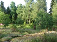 juni2007 2 318